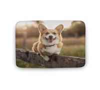 asbwuo Tappeto da bagno colorato con motivo a cane Welsh Corgi, con retro antiscivolo, in morbida microfibra50,8 x 81,3 cm.