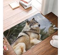 asbwuo Zerbino per ingresso, zerbino per interni ed esterni, zerbino Snow Mountain Wild Wolf, tappetino EasyEntryway resistente alle macchie e allo sbiadimento
