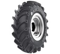 ASCENSO TDB120 16.9 -24 8PR 133A8 TT Pneumatico Gomma