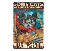 Ascigo Divertente targa in metallo con scritta in inglese "Some Cats are Just Born with The Sky in Their Soul", per casa, cucina, bar, caffetteria, club, grotta, decorazione da parete, stile pilota
