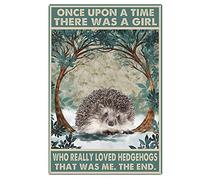 Ascigo Targa in metallo divertente per uomini, con scritta in lingua inglese "Once Upon a Time There was a Girl Who Really Love Hedgehogs That was Me", per ufficio, 20,3 x 30,5 cm