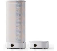 Asciuga Panni Elettrico Asciugatura Asciugatrice a vapore Asciugatrice a vapore portatile da 1000 W, macchina da stiro automatica, asciugatrice elettrica per vestiti, circolazione dell'aria
