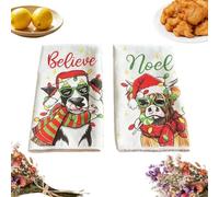 Asciugamani natalizi per le mani, 2 pezzi, tovaglioli assorbenti decorativi | Strofinacci da cucina invernali per casa, appartamento, sala da pranzo, interni, feste, Natale, riunioni di famiglia