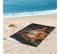 Asciugamano Ad Asciugatura Rapida Dragon And Tiger Asciugamano in Microfibra Super Assorbente E Leggero per Avventure all'Aria Aperta E Uso Domestico, Funny Squirrel, 31.5"x63"