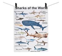 Asciugamano da cucina con squali del mondo, strofinaccio per gli amanti degli squali assassini, regalo per gli amanti degli animali dell'oceano (asciugamano con squali 2U)