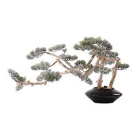 asdchZen Alberi Artificiali Simulazione Creativa Ornamenti di Bonsai di Pino Accogliente Piante Artificiali Decorazioni per L'Ingresso della Sala per Lo Studio Sala Espositiva Ufficio Pino Simulato