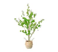 asdchZen Albero Artificiale, Pianta Artificiale, Albero A Campana, Simulazione di Piante Verdi, Piante in Vaso, Rami Finti, Bonsai, Decorazione per La Casa E Il Soggiorno, 150 Cm