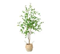 asdchZen Albero Artificiale, Pianta Artificiale, Albero A Campana, Simulazione di Piante Verdi, Piante in Vaso, Rami Finti, Bonsai, Decorazione per La Casa E Il Soggiorno, 170 Cm