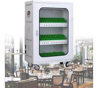 asdchZen Mobiletto di Ricarica per Cellulare con 12 Porte E 60 Porte, Armadietto di Stoccaggio per Cellulare Ricaricabile, Stazione di Ricarica USB per Cellulare E Tablet, 12 Slot, 50 Slot