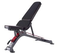 asdchZen Panca regolabile Sgabello con manubri per uso domestico Multifunzionale Sollevamento pesi Letto Sit-up Attrezzature per il fitness Forza Esercizio Cuscinetto 300Kg Panche regolabili