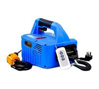asdchZen Paranco Elettrico Portatile da 300 kg, Argano Elettrico, Paranco Elettrico A Fune in Acciaio, 220 V/110 V, 110 V, Telecomando