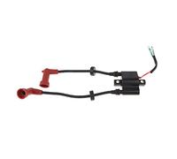 ASDGH Bobina di accensione, for, 4 tempi F9. 9H FT25 F15 F20 F25 motore fuoribordo 6F5-85570- 13 6F5-85570-12 Interruttore di accensione della barca