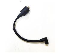 ASDGH Bobina di accensione for motore di barca, for HIDEA, 2 tempi 2. 5HP 2. 5F T2. 5 motore fuoribordo 2.5F-01.03.01.00 Interruttore di accensione della barca