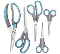 Asdirne Forbici, Forbici da Cucina con Lame Affilate in Acciaio Inossidabile e Maniglie Morbide, Set di Forbici Multifunzionali, 5 Pezzi, Blu/Grigio