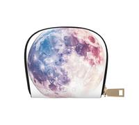 ASDJHFABKY Nature Scenery - Borsa in pelle con fiori blu e bianchi, portafoglio floreale in vaso, confezione di carte per pendolari attivi, per carte di transito e documenti d'identità ad accesso