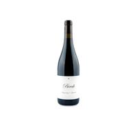 Aseginolaza & Leunda Birak 2024