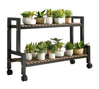 ASerZenith Supporto per Piante da Interno in Metallo per Esterni A più Livelli, con Ruote, per Piante Multiple, Scala Portavasi, Tavolo Portavasi per Finestre, Giardino, Balcone, So（Black-2 Tiers）