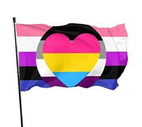 Asexual Ace Panromantic Pan Genderfluid Cuore Pride Bandiera a tema Festa di benvenuto Decorazioni esterne esterne Orment Picks Casa Giardino Decorazione 3 X 5 Ft Piccola Bandiera