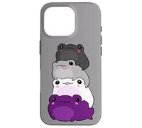 Asexual Flag Color Frog Subtle Queer Pride LGBTQ Aesthetic Custodia per iPhone 16 Pro