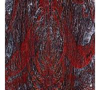 Asfast The Prime Same (Vinyl LP) 12" Album (Gatefold Cover)