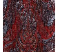 Asfast - The Prime Same (Limited Edition) (High Quality) (Clear /Red Coloured) (LP)
