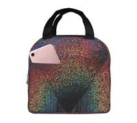 ASFgda Borsa portapranzo con stampa olografica di sogni, per donne e uomini, resistente all'acqua, riutilizzabile, per lavoro/ufficio/viaggio/picnic