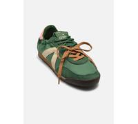 ASFVLT - Grace Verde - Sneakers 40 Verde