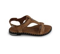 ASH - Piper Sandali - - Shoes - Donna - Marrone - 40 EU