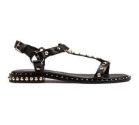 Ash Sandali Basso Borchie in multicolore 38