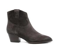 ASH - Stivaletti Fame - - Shoes - Donna - Marrone - 39 EU