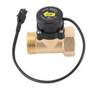 ASHATA Flussostato dell'acqua HT-800 220V G1 Filo Sensore di flusso della pompa dell'acqua Interruttore automatico magnetico