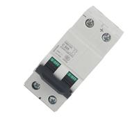 ASHATA Interruttore Automatico Miniaturizzato CC a 2 Poli 63A 250V Interruttore Aria a Bassa Tensione per Impianto Solare Fotovoltaico, Potere di Interruzione 10kA, Protezione da Sovraccarico e (32A)