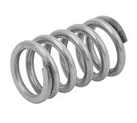 ASHATA Molle di Tensione del Ponte Tremolo, Sostituzione Molle Metalliche per Parti di Basso, Accessori Hardware del Tremolo per Chitarra Elettrica (SILVER)