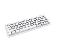 ASHATA Tastiera da gioco cablata, 68 tasti RGB retroilluminata tastiera da gioco con retroilluminazione a LED colorata, design ergonomico di tipo C per PC Computer (colore bianco interruttore blu)