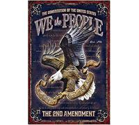 AshBro We The People 2nd Emendment Sign Metal 12 x 8 2nd Emendment Targa in latta American Sign Confederate Decor compliments any US Pledge of Allegiance