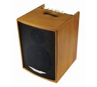 Ashdown AA-100-Amplificatore per chitarra acustica, colore: nero