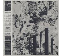 Ashenspire Hostile architecture (Vinyl LP)