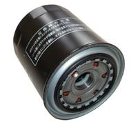 Ashika 10-02-213 - Filtro Olio