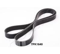 1 CINGHIA POLY-V ASHIKA 112-7PK1640