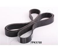Ashika 112-7PK1750 - Cinghia Poly-V