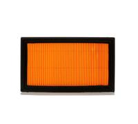 ASHIKA 20-01-134 Filtro aria