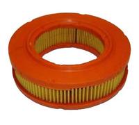 ASHIKA 20-02-202 Filtro aria