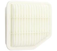 Ashika 20-02-255 - Filtro Aria