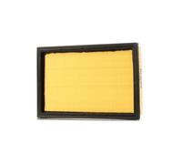 Ashika Ashika 20-08-832