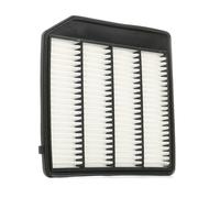 Ashika Ashika 20-08-841