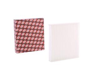 ASHIKA 21-TY-TY9 Filtro abitacolo