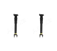ASHIKA 2x Ammortizzatore SX Dx. Post. per Di Classe M W164 ML