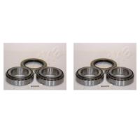 ASHIKA 2x Cuscinetto Ruota Mozzo Asse Posteriore Destro SX per Kia K2700 K2500
