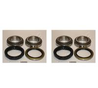 ASHIKA 2x Cuscinetto Ruota Mozzo Frontale per Chevrolet Matiz Daewoo M200 M250