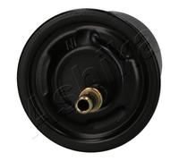 ASHIKA 30-05-520 Filtro carburante per MITSUBISHI